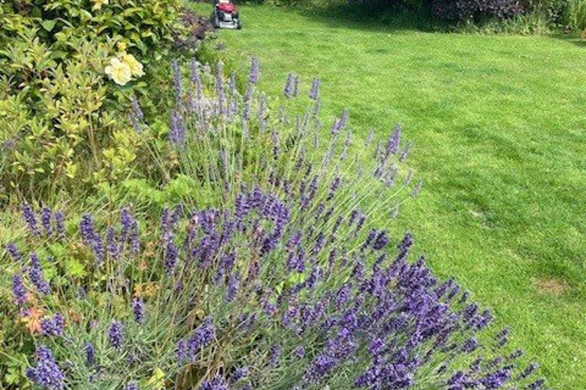 1 Main Street, Drymen, G63 0BP - Picture #43