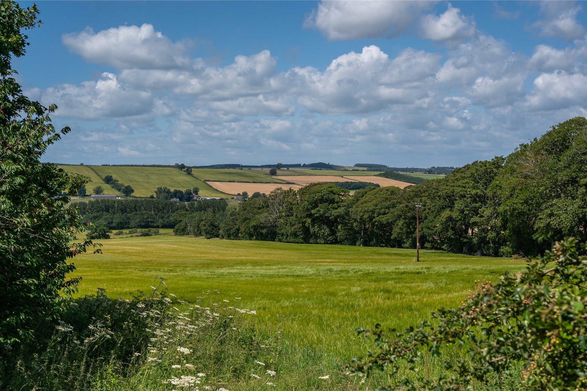 Beeswing, Lanton, Jedburgh, Scottish Borders, TD8 6SU - Picture #30